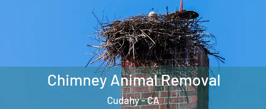 Chimney Animal Removal Cudahy - CA
