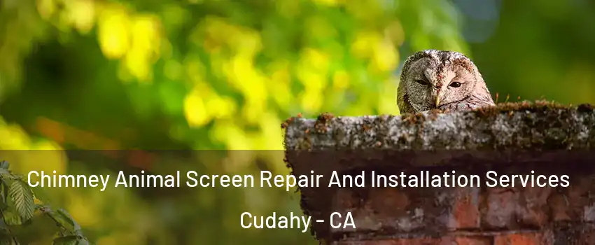  Chimney Animal Screen Repair And Installation Services Cudahy - CA