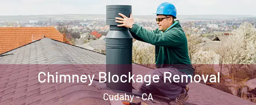  Chimney Blockage Removal Cudahy - CA