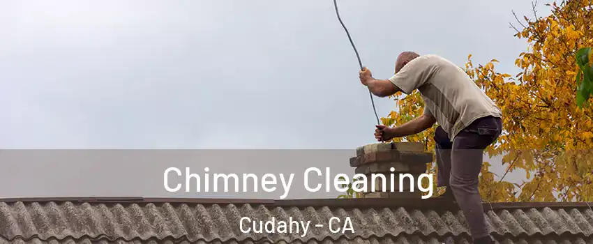  Chimney Cleaning Cudahy - CA