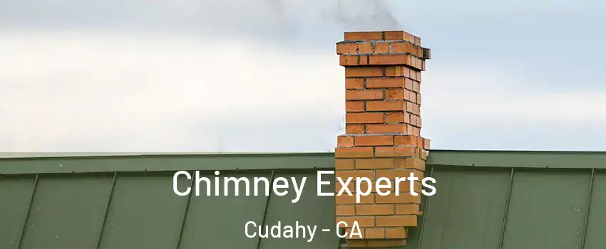 Chimney Experts Cudahy - CA