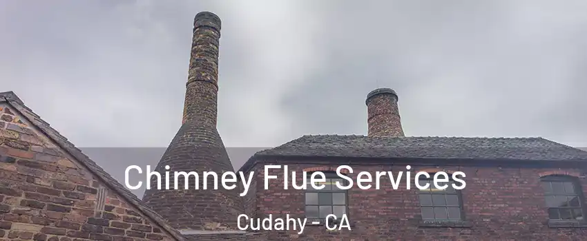  Chimney Flue Services Cudahy - CA