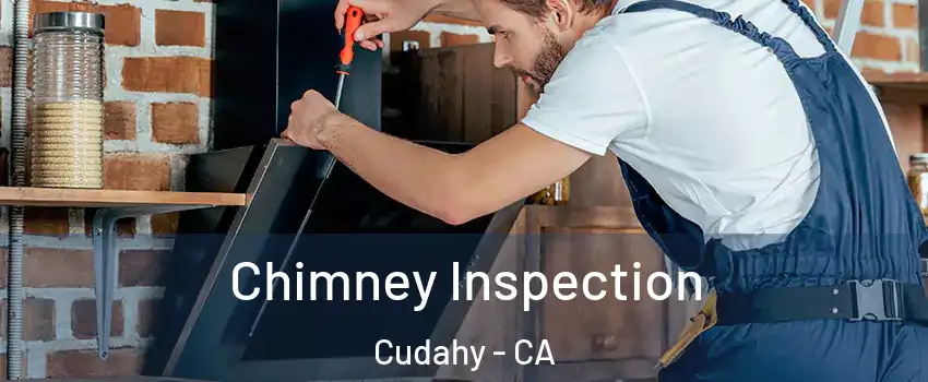  Chimney Inspection Cudahy - CA