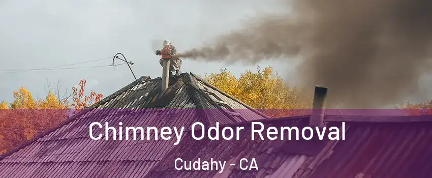  Chimney Odor Removal Cudahy - CA