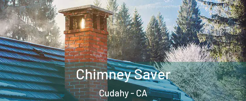  Chimney Saver Cudahy - CA