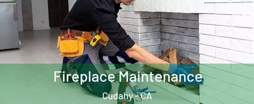  Fireplace Maintenance Cudahy - CA