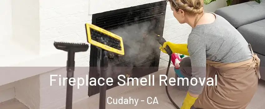  Fireplace Smell Removal Cudahy - CA