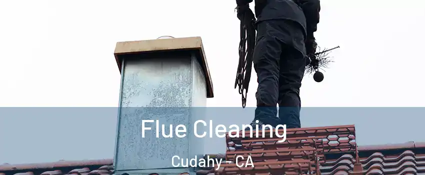  Flue Cleaning Cudahy - CA