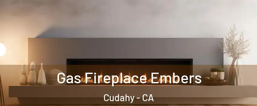  Gas Fireplace Embers Cudahy - CA