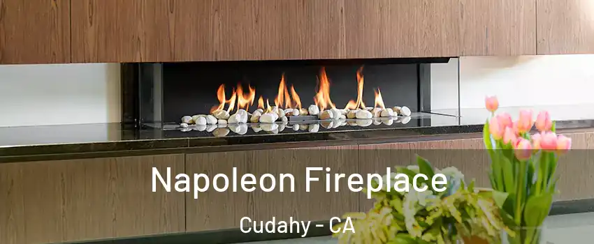  Napoleon Fireplace Cudahy - CA