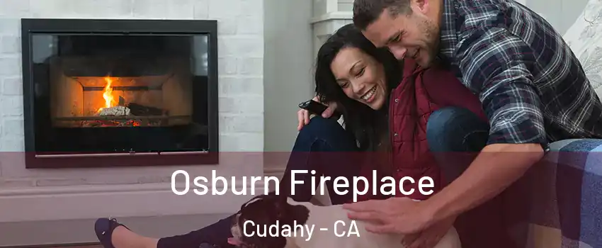  Osburn Fireplace Cudahy - CA